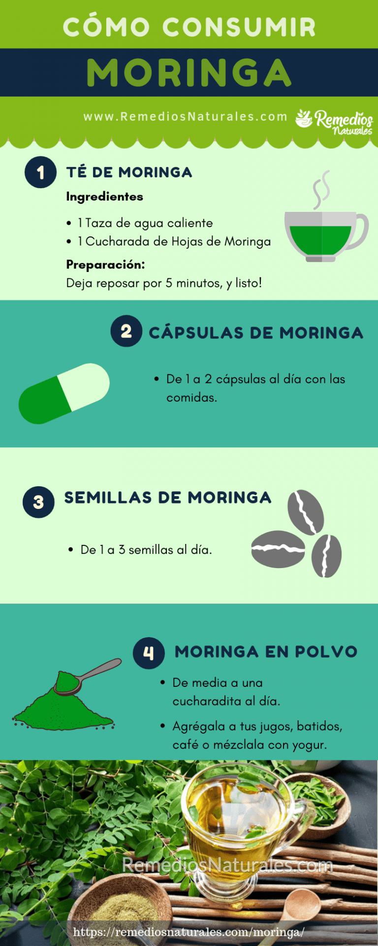 Moringa Cómo consumirla, 20 Beneficios, Efectos Secundarios y